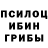 Галлюциногенные грибы прущие грибы Hatem Dekkers