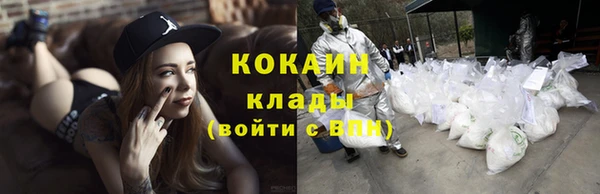 ГАЛЛЮЦИНОГЕННЫЕ ГРИБЫ Надым