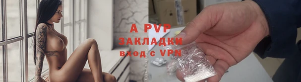 ГАЛЛЮЦИНОГЕННЫЕ ГРИБЫ Надым