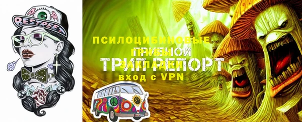ГАЛЛЮЦИНОГЕННЫЕ ГРИБЫ Надым