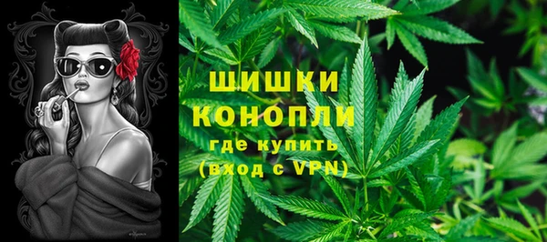 ГАЛЛЮЦИНОГЕННЫЕ ГРИБЫ Надым
