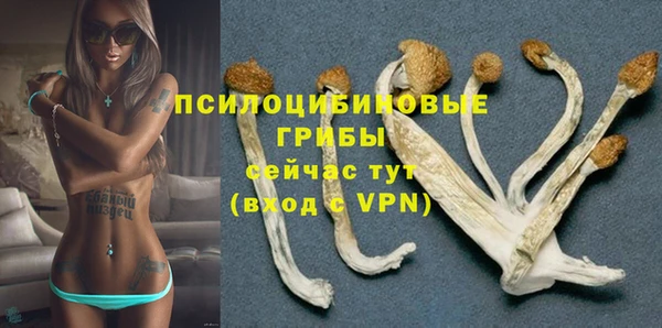 ГАЛЛЮЦИНОГЕННЫЕ ГРИБЫ Надым