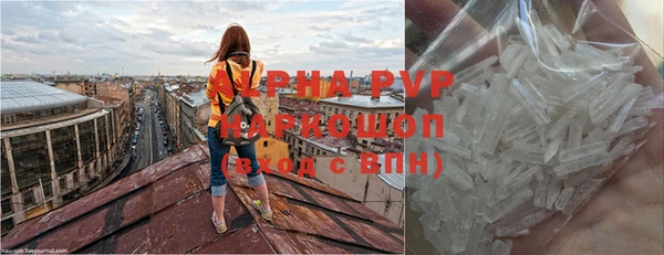 ГАЛЛЮЦИНОГЕННЫЕ ГРИБЫ Надым