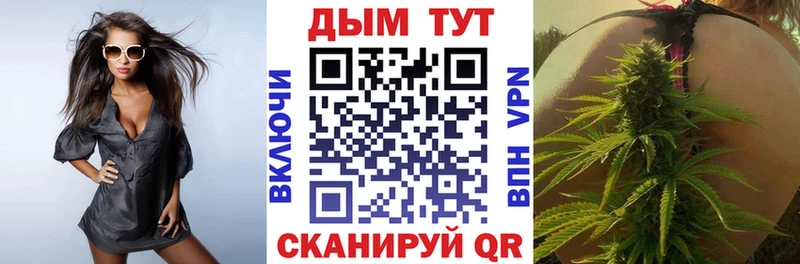 Купить закладки  Красавино  Канабис семена 